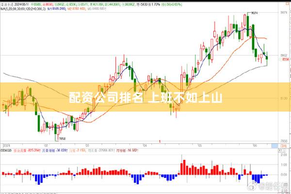 配资公司排名 上班不如上山