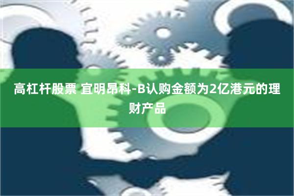 高杠杆股票 宜明昂科-B认购金额为2亿港元的理财产品