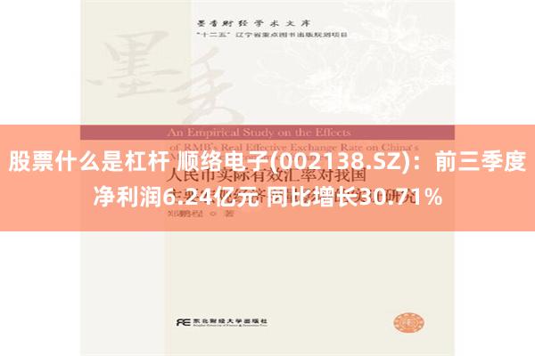 股票什么是杠杆 顺络电子(002138.SZ)：前三季度净利