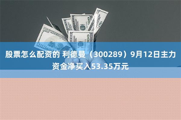 股票怎么配资的 利德曼（300289）9月12日主力资金净买