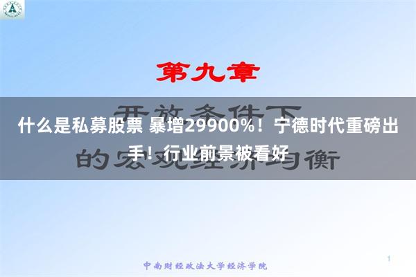 什么是私募股票 暴增29900%！宁德时代重磅出手！行业前景