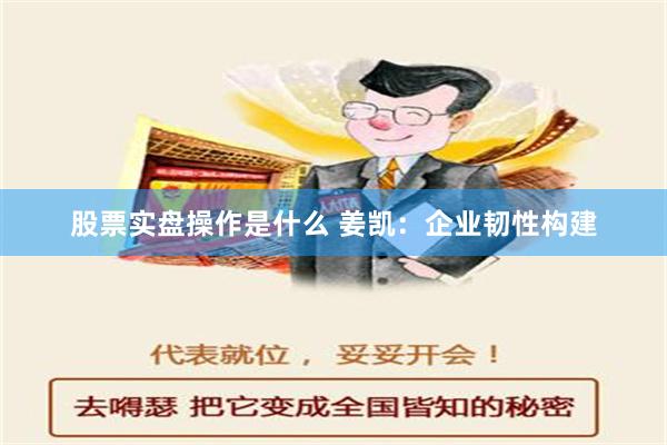 股票实盘操作是什么 姜凯：企业韧性构建